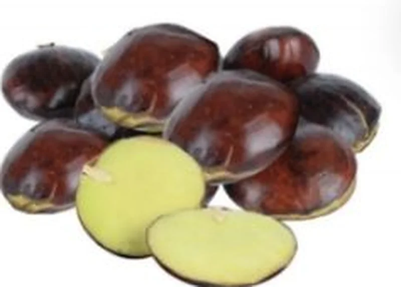 Jengkol beans (Da Nyin Thee)
